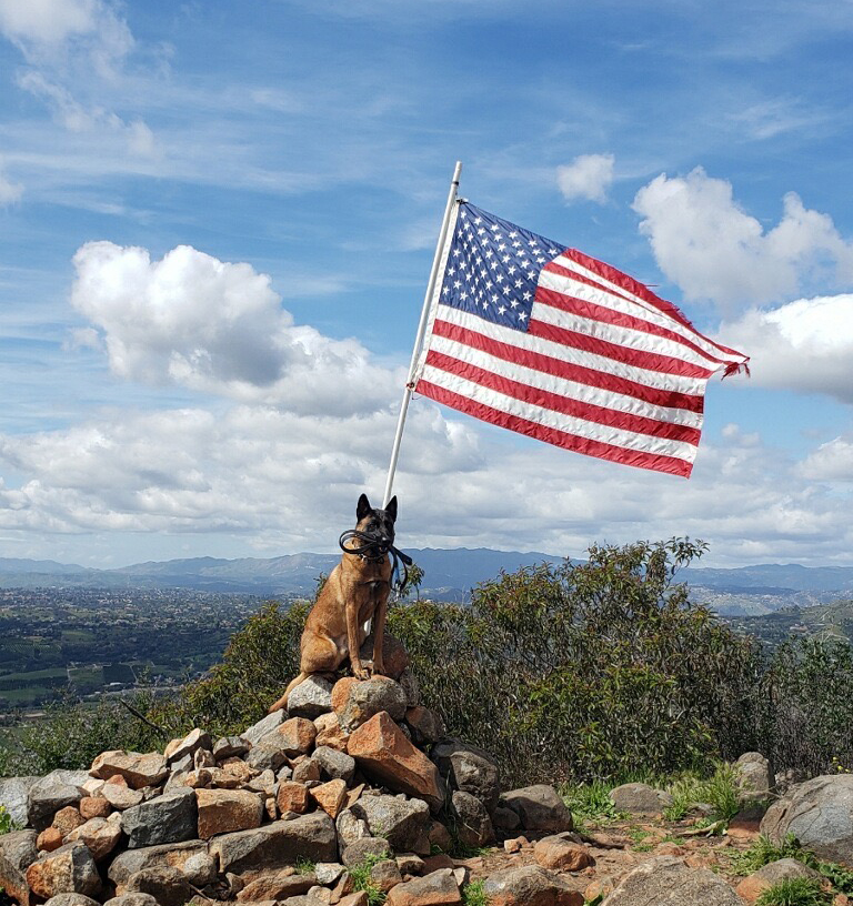 Fabis-Top-Dogs-Ganon-sitting-atop-the-mountain-of-freedom-best-dog-training-in-San-Diego-where-boundaries-equal-freedom