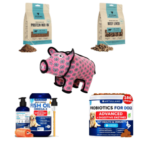 Large Dog Health Kit